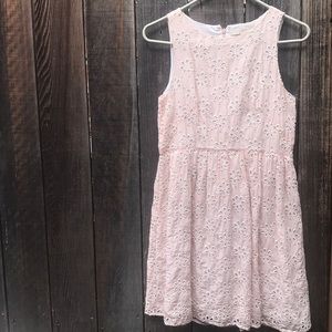 Pink flower pattern dress from loft
